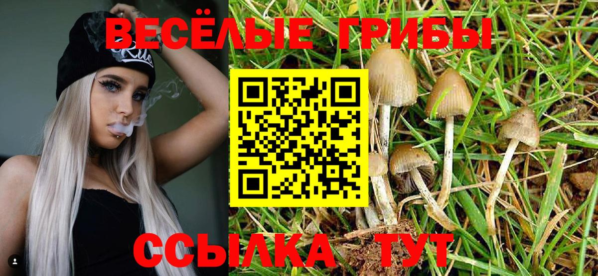 Галлюциногенные грибы мицелий Екатеринбург