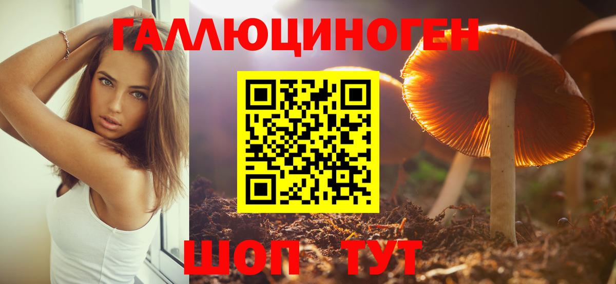 Екатеринбург  Псилоцибиновые грибы мицелий  Вход с VPN  Галлюциногенные грибы мухоморы 